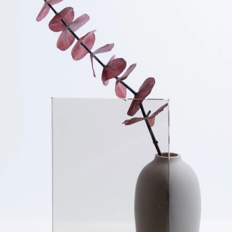 KARASTATUD PRONKS KLAAS