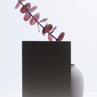 PRONKS PEEGEL+MATTKILE